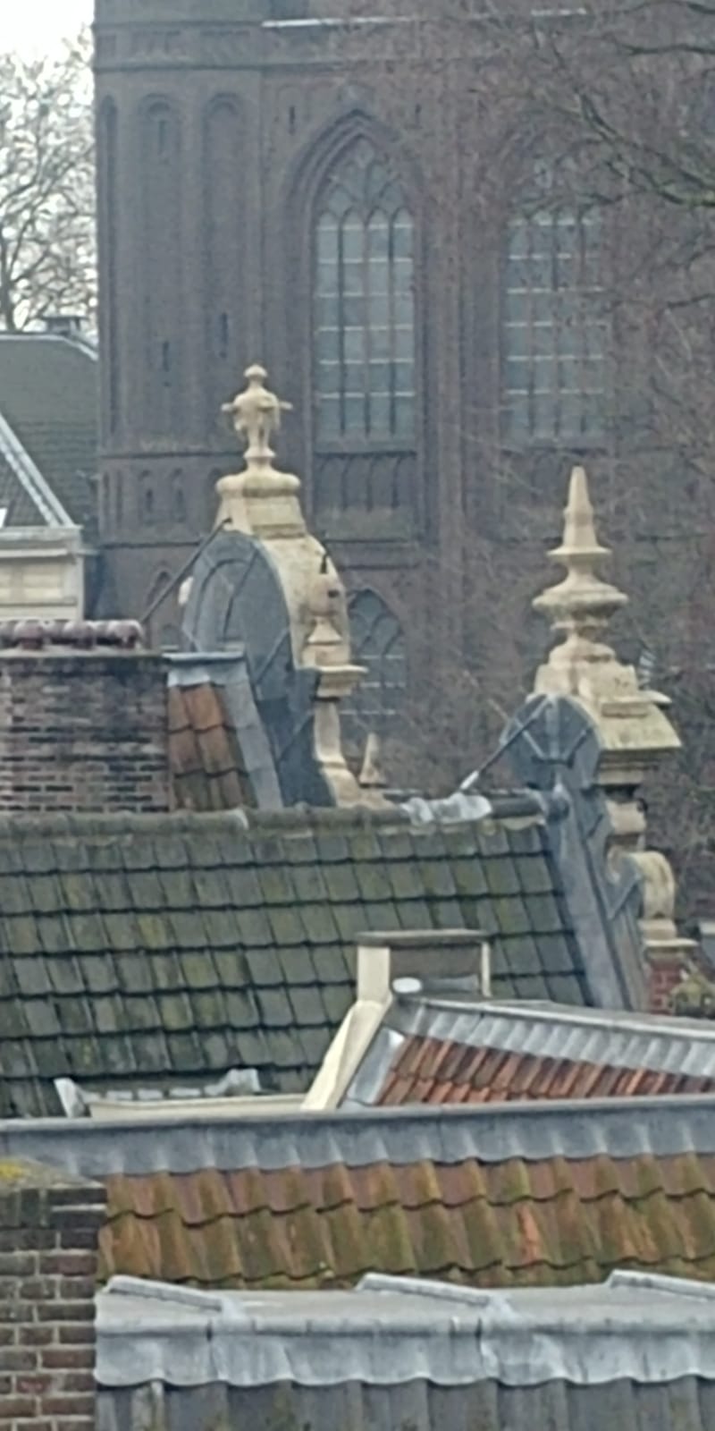 Begijnhof11